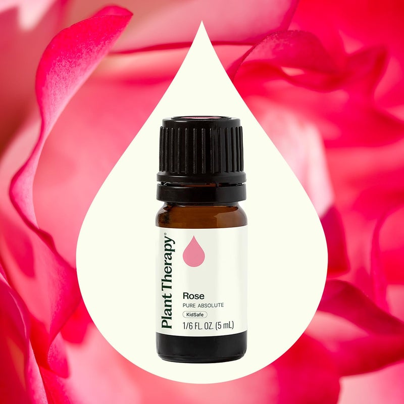 Plant Therapy Rose Absolute Essential Oil 100% Pure, Undiluted, Natural Aromatherapy, Therapeutic Grade 5 mL (1/6 oz) - Image 3